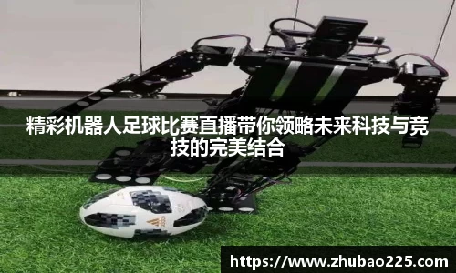 必博BIBOAPP